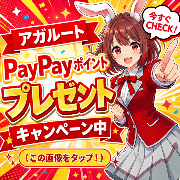 PayPayポイントプレゼントキャンペーン